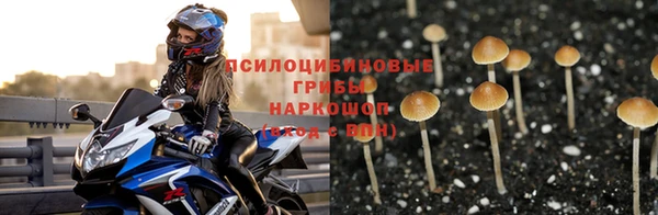 мет Арсеньев