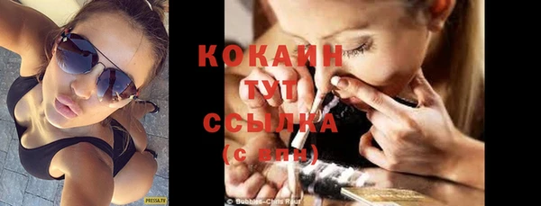 гашик Аркадак