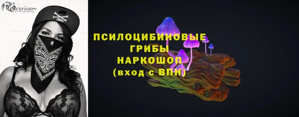 гашик Аркадак