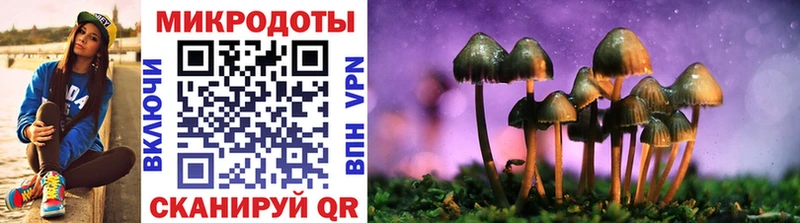 Псилоцибиновые грибы мицелий  Николаевск-на-Амуре 